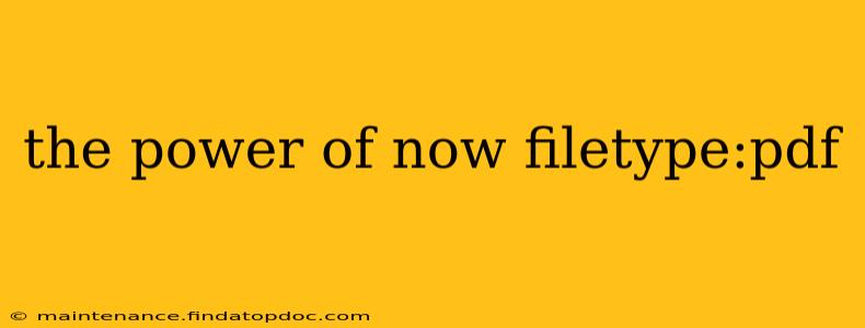 the power of now filetype:pdf