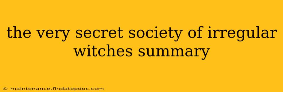 the very secret society of irregular witches summary
