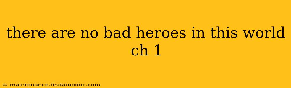 there are no bad heroes in this world ch 1