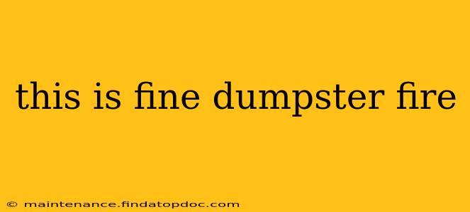 this is fine dumpster fire this is fine dumpster fire