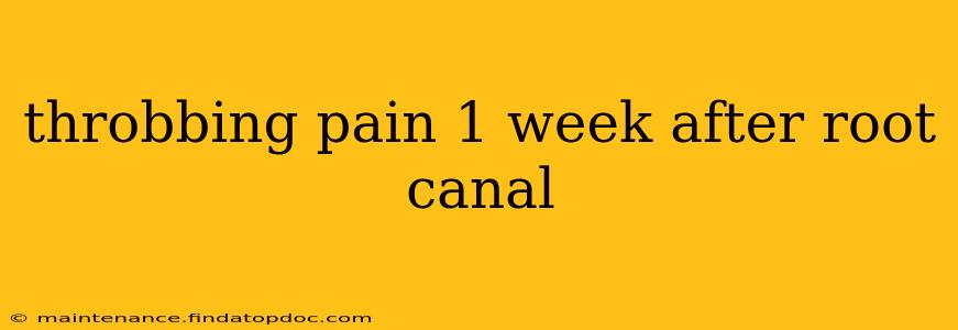 throbbing pain 1 week after root canal