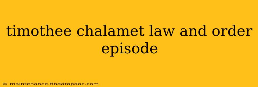 timothee chalamet law and order episode