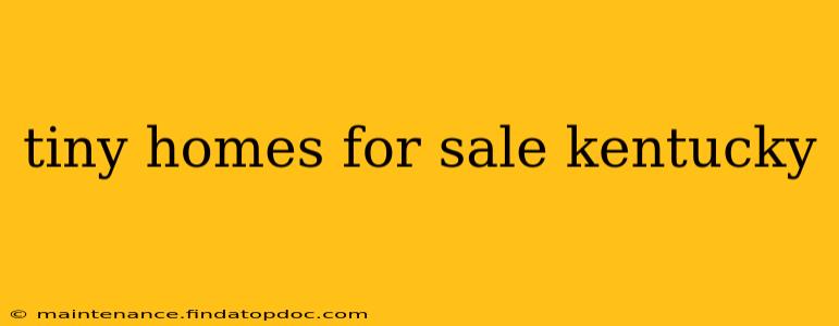 tiny homes for sale kentucky