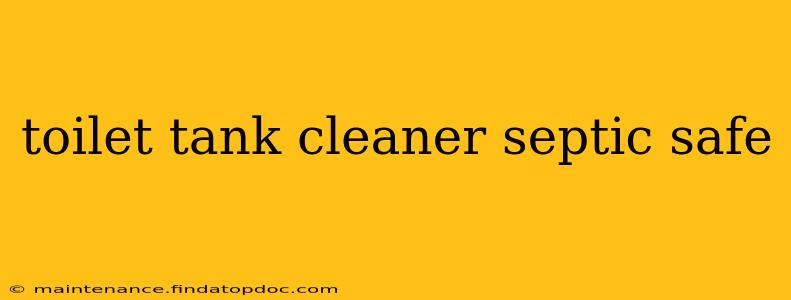 toilet tank cleaner septic safe