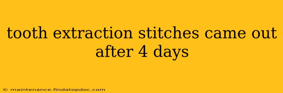 tooth extraction stitches came out after 4 days