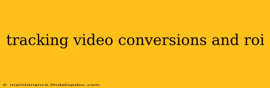 tracking video conversions and roi