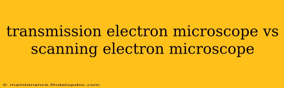 transmission electron microscope vs scanning electron microscope
