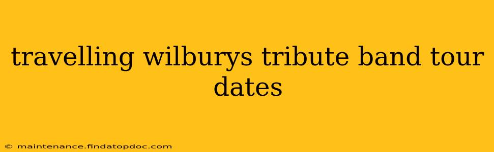 travelling wilburys tribute band tour dates