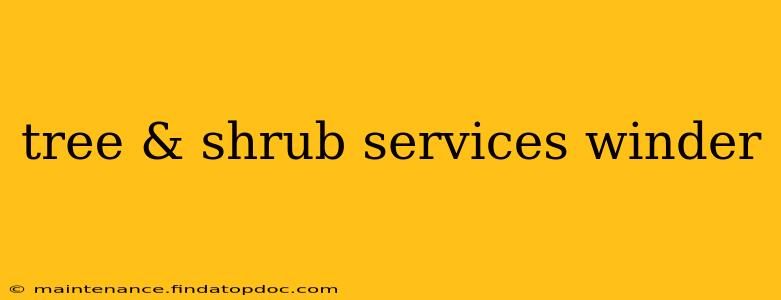 tree & shrub services winder