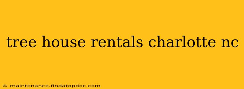 tree house rentals charlotte nc
