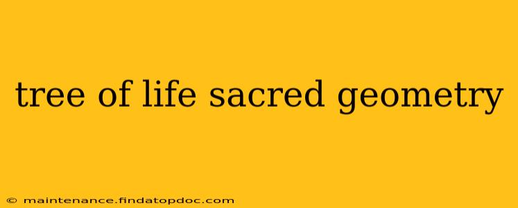 tree of life sacred geometry