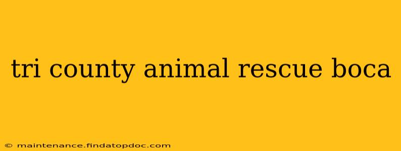 tri county animal rescue boca