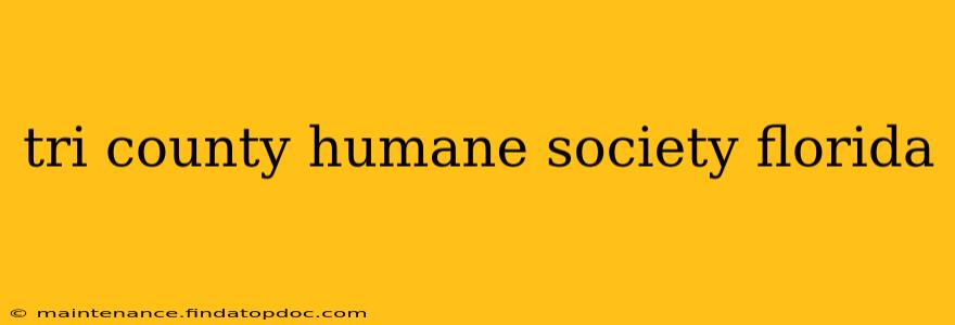 tri county humane society florida