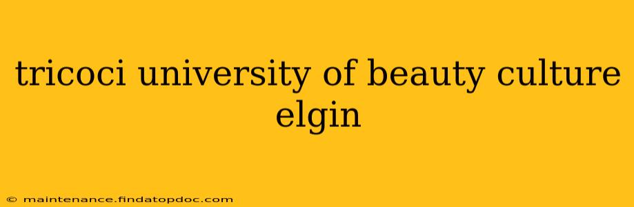 tricoci university of beauty culture elgin