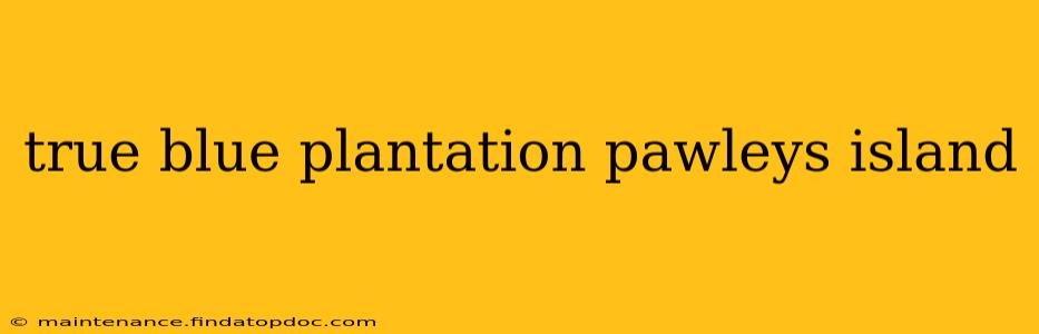 true blue plantation pawleys island