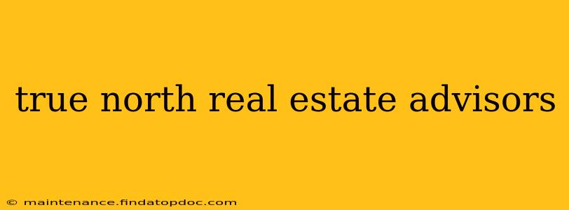 true north real estate advisors