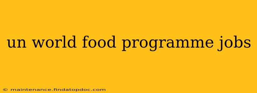 un world food programme jobs