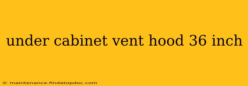 under cabinet vent hood 36 inch