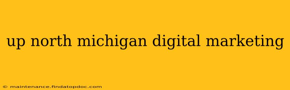 up north michigan digital marketing