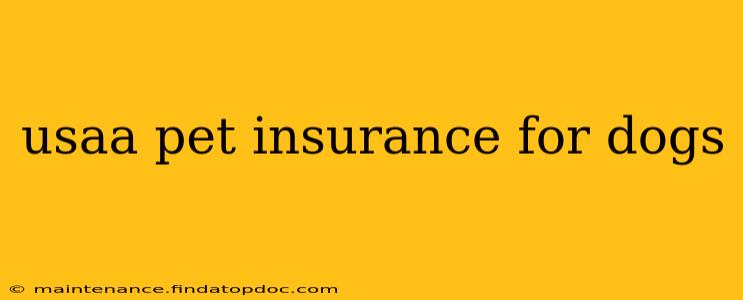usaa pet insurance for dogs