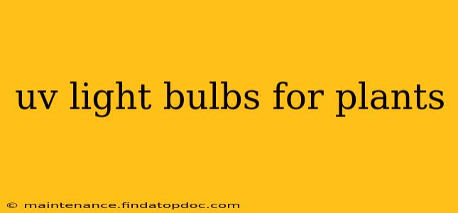 uv light bulbs for plants