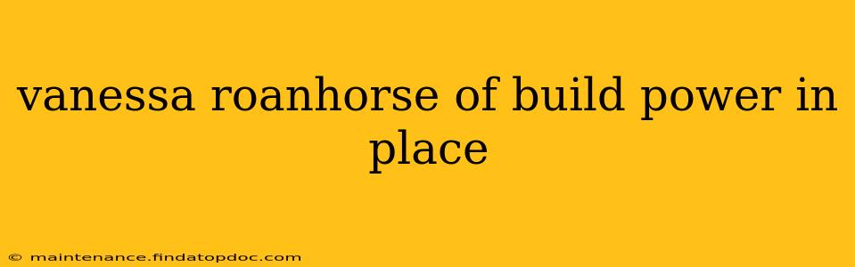 vanessa roanhorse of build power in place