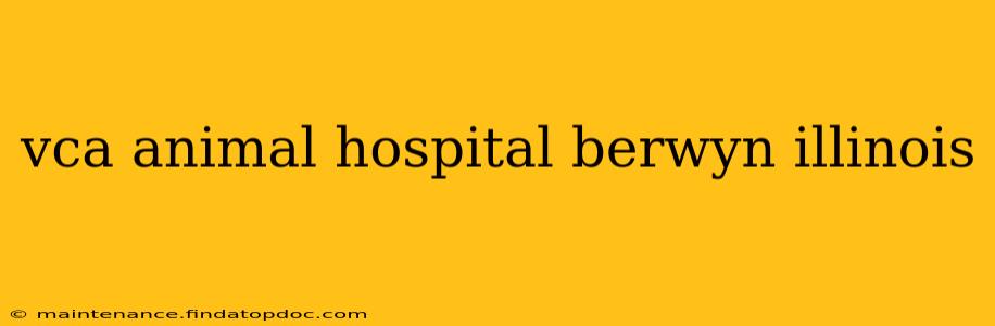 vca animal hospital berwyn illinois