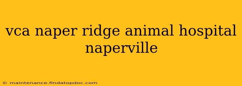 vca naper ridge animal hospital naperville