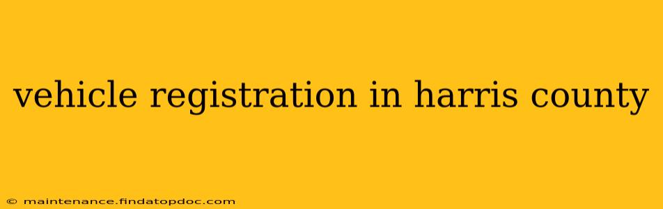 vehicle registration in harris county