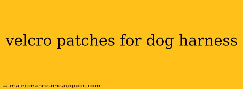 velcro patches for dog harness