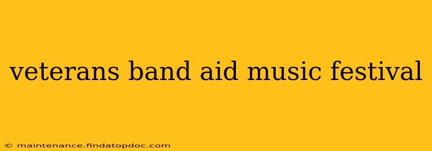 veterans band aid music festival