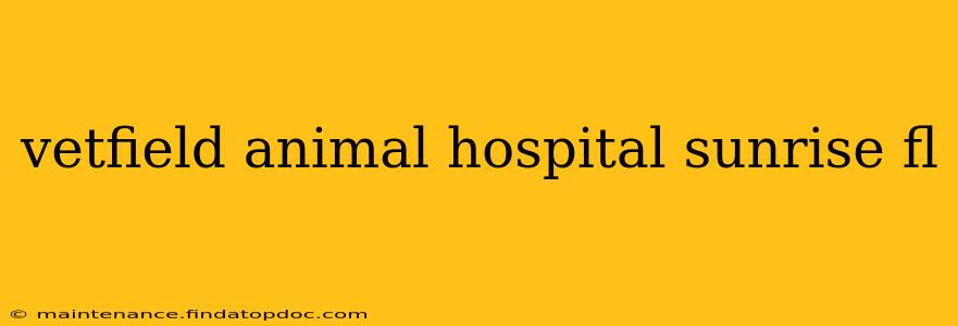 vetfield animal hospital sunrise fl