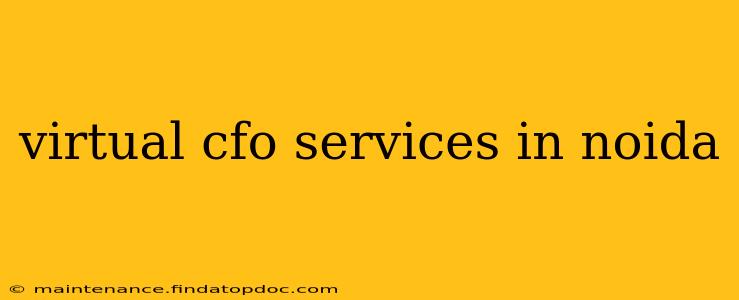 virtual cfo services in noida