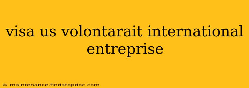 visa us volontarait international entreprise