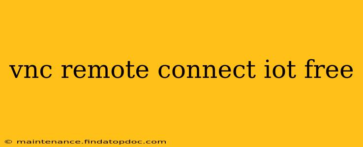 vnc remote connect iot free