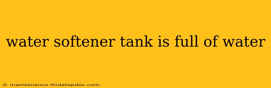 water softener tank is full of water