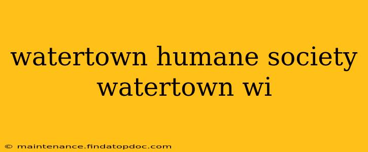 watertown humane society watertown wi