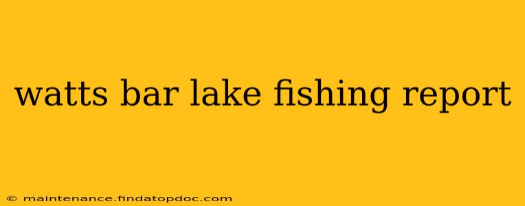 watts bar lake fishing report