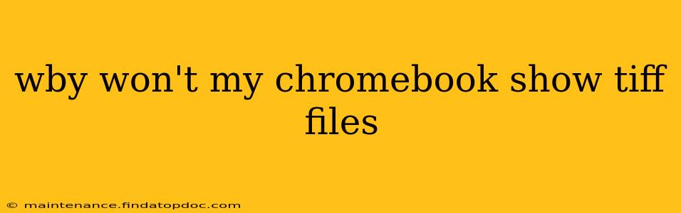 wby won't my chromebook show tiff files