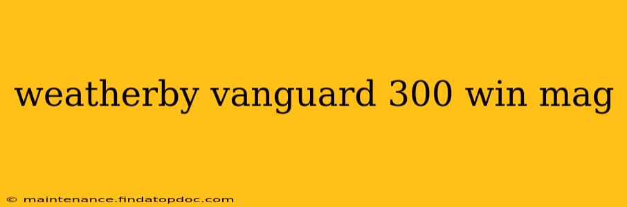 weatherby vanguard 300 win mag