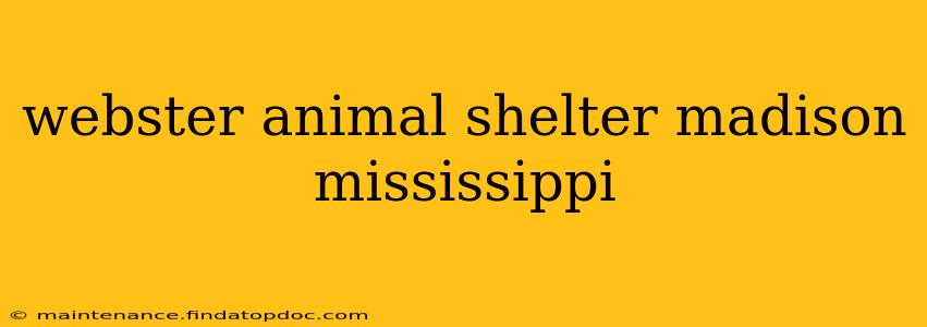 webster animal shelter madison mississippi
