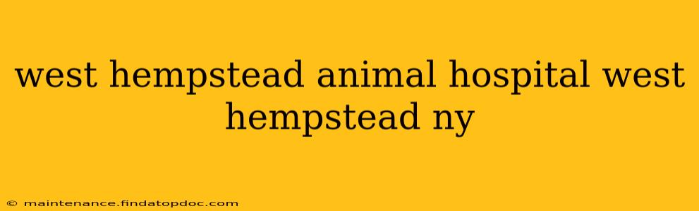west hempstead animal hospital west hempstead ny