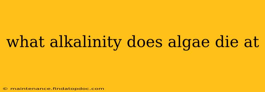 what alkalinity does algae die at