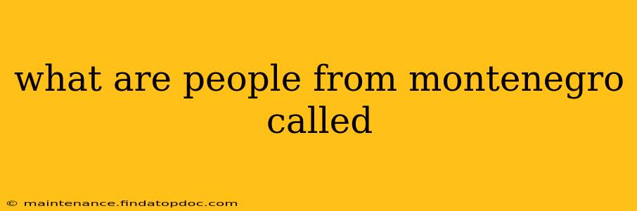 what are people from montenegro called