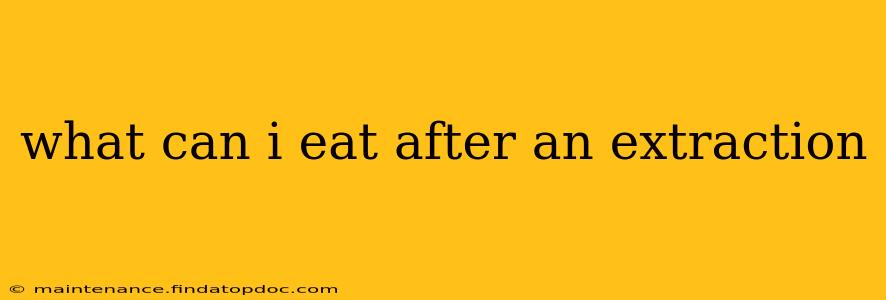 what can i eat after an extraction