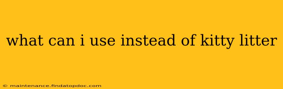 what can i use instead of kitty litter