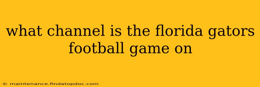 what channel is the florida gators football game on