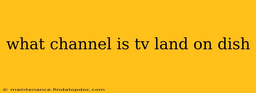 what channel is tv land on dish