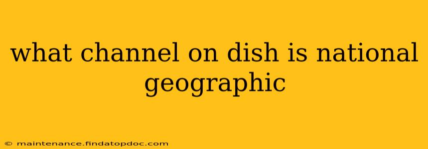what channel on dish is national geographic
