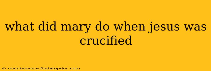 what did mary do when jesus was crucified